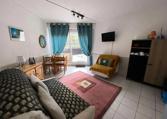 Appartamento Résidence Ayre - Dans Le Centre De Exposé Sud Mae-3061